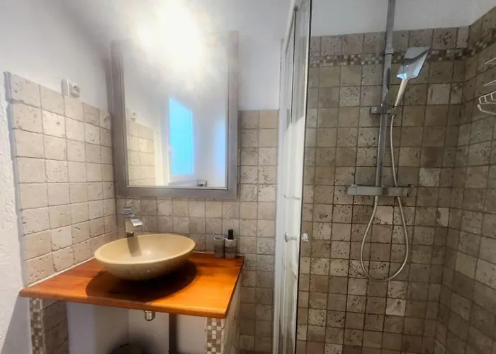 Aiglon Yourhosthelper Saint-Raphaël